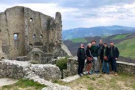 Ganztägige Canossa Castle Tour mit lokalen Aromen