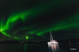 Recorrido en barco Northern Lights