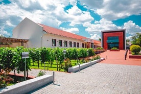 Full-Day Shabo Wine Culture Centre Private Tour i Odessa