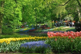 Privat dagstur til Keukenhof-hagene og Giethoorn