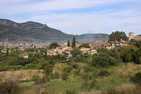 Sóller Private Walking Tour with official tour guide