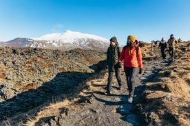 Frá Reykjavík: Snæfellsnes-skaga Heilsdagsferð