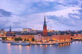 Stockholm: Christmas Market Magic Walking Tour with a Local