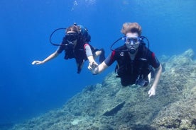 Сертифицированное PADI подводное плавание в Халкидики