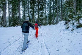 Raquetas de nieve en el parque nacional de Triglav