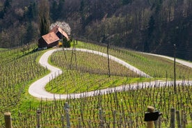 Panoramic flight with air balloon in Maribor - Private tour from Ljubljana