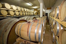 Small-Group Hvar Wine Tasting Tour