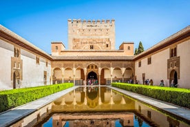 Granada: Alhambra and Nasrid Palaces Entry Ticket