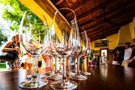 Excursion d'une journée à Villajoyosa, Benidorm, Winery Enrique Mendoza, Guadalest