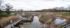 British Wildlife Centre