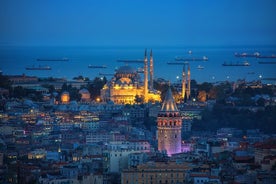 Istanbul Shore Excursion: Istanbul by Night Turks diner en show