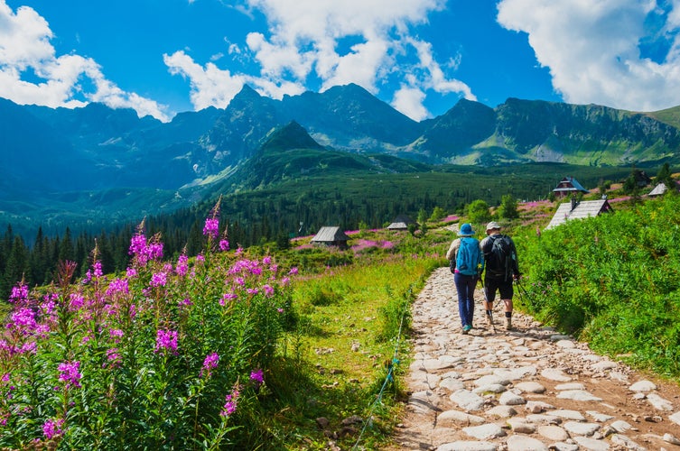 Wonderful mountains scenery in Carpathians. Picturesque meadow in valley (Gasienicowa) in Tatras, Poland..jpg