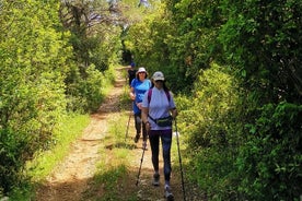 Walking Through Ancient Konavle Villages with a Tasty Finish