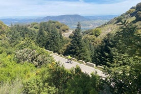 Cycling - Las Palomas Pass - Easy to Moderate Difficulty