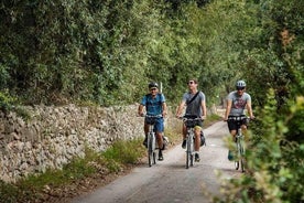 Recorrido en bicicleta de día completo de la Reserva Natural de Lecce a Cesine