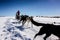 Sjusjoen Husky Tours, Ringsaker, Innlandet, Norway