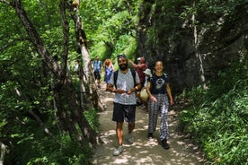 De Zadar - transporte para o Parque Nacional dos Lagos Plitvice e pule a fila