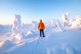 photo of beautiful view of Finnish landscape with trees in snow, ruka, karelia, lapland, hilly winter landscapes in famous winter sports area called Ruka.