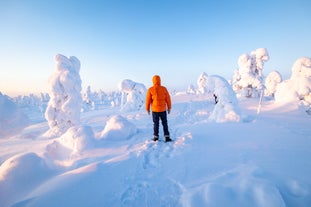 Photo of stunning sunset view over wooden huts and snow covered trees in Kuusamo, Finnish Lapland.