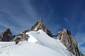 Excursion d’une journée à Chamonix-Mont-Blanc avec vue panoramique en bus, y compris les billets pour l’attraction