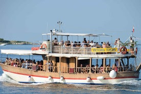 From Poreč: Evening Dolphin Cruise with Welcome Drink