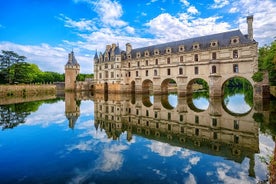 Chenonceau Castle guided half-day trip from Tours