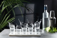 Vodka tours in United Kingdom