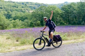 Tour de día completo en bicicleta eléctrica en la región de Alpilles desde Avignon