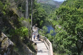 Paiva Walkways och Alvarenga Small Group från Porto