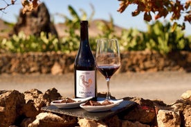 Weingut und Schokoladenverkostung auf Fuerteventura