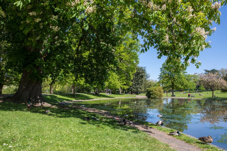 A view of the lake in Colchester Castle Park in the historic town of Colchester, Essex, UK.