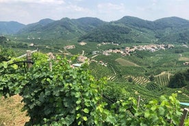 Prosecco e degustação de queijos. De Veneza. Dia inteiro