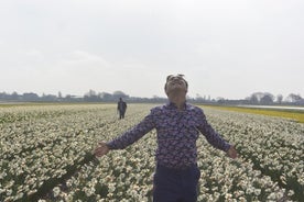 Tulipsfields Pontos Turisticos