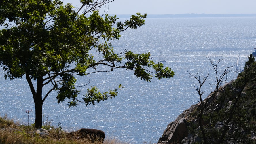 photo of view of South of Sweden near Höganäs.