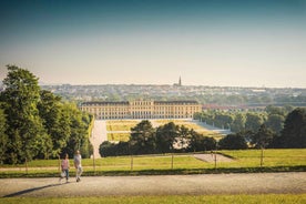 Vín: Aðgöngumiði að Schönbrunn höllinni með hádegisverði