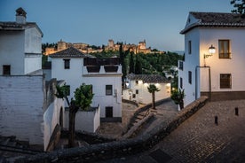 Visite privée de l'Alhambra et des palais des Nazaries