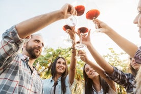 Cata de vinos Albariño con visita a bodega