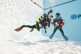 Cours de plongée sous-marine PADI de 2 jours à Porto Rico, Gran Canaria