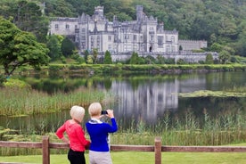 Tour privado de medio día a Connemara