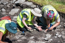 Caherconnell Fort & Sauðahundasýningar