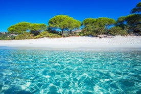 Photo of amazing landscape with wooden pier on Santa Giulia beach, Porto-Vecchio ,France.