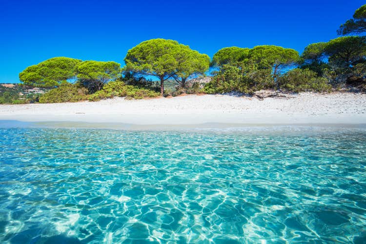 Photo of sandy Palombaggia beautiful beach with pine trees and azure clear water, Porto Vecchio ,Corsica, France.