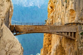 Caminito del Rey: Aðgangsmiði og Leiðsögn