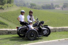 Tour privado pelas vinhas e degustação de vinhos de Saint-Emilion