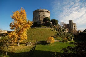 Windsor, Stonehenge, Lacock y ciudad de Bath con almuerzo