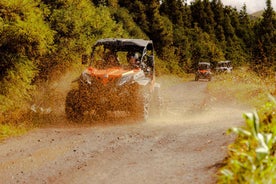 Sao Miguel: Buggy Tour Around Sete Cidades Volcano