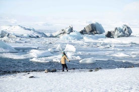 Frá Reykjavík: Jökulsárlón Bátferð, Demantaströndin Ferð