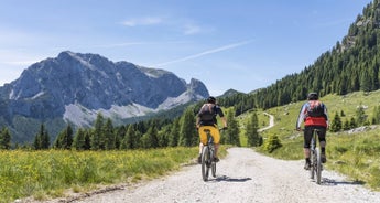 Lake Constance-Königssee Cycle Route With Luggage Transfer