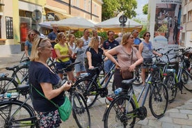 Vienna: City Highlights Guided Bike Tour