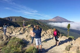 Teide-fjall og Tenerife norður með matar- og vínsmökkunarferð